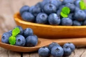 ماسک بلوبری
