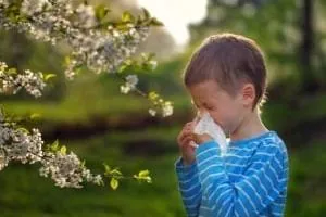 بیماری های فصل بهار