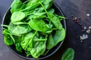 پرورش اسفناج