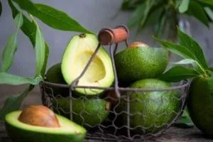 خواص آووکادو