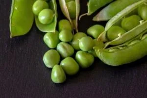 نخود فرنگی در لاغری