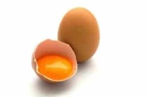تخم مرغ