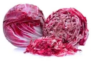 کاسنی قرمز