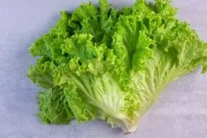 ماسک کاهو