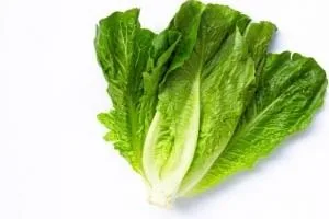 کاهو در بارداری