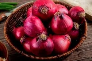 کاربرد پیاز