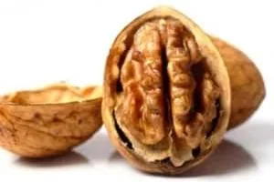 گردو