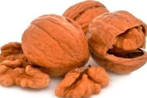 گردو