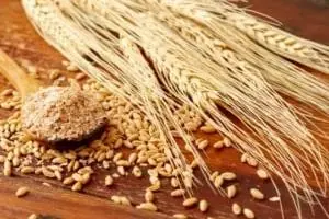 روغن جوانه گندم