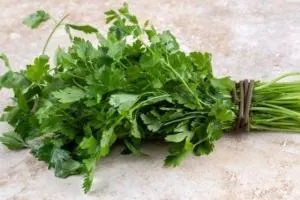 تخلیه سموم بدن