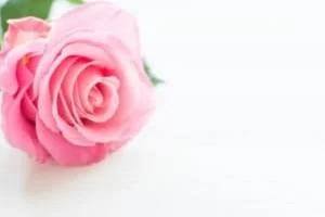 موفقیت در زندگی