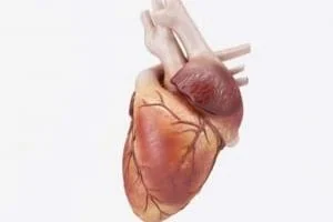مشکلات قلبی