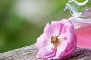 گلاب در بارداری