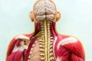 آلزایمر