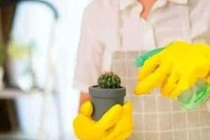 آبیاری کاکتوس