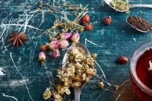 گیاهان موثر در تقویت حافظه