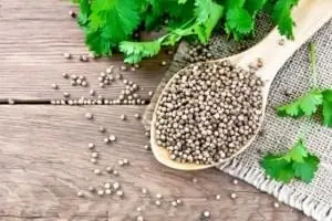 خواص گشنیز