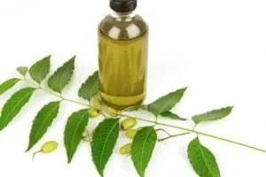 روغن چریش