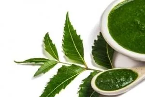 فواید چریش