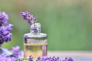 طرز تهیه روغن اسطوخودوس