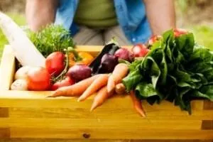تاثیر تغذیه سالم