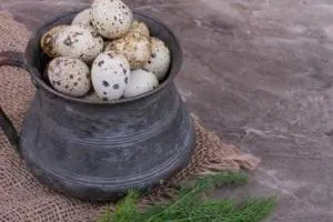 خواص تخم بلدرچین