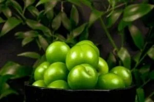 گوجه سبز