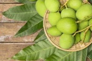عوارض چغاله بادام
