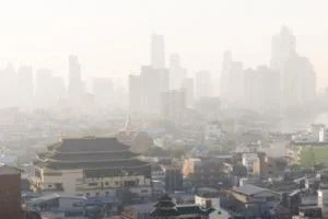 آلودگی هوا و تاثیر آن بر جسم