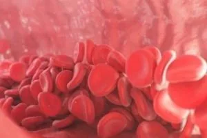 افزایش پلاکت خون با این مواد غذایی
