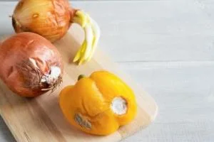 کپک زدن مواد غذایی