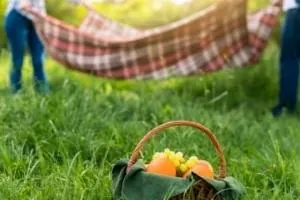 رژیم غذایی