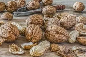 پوست گردو