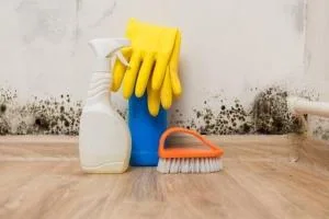 از بین بردن کپک دیوار