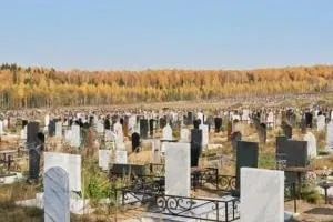 عامل مرگ انسان