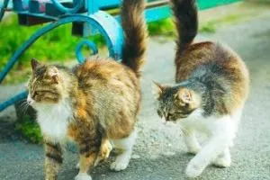 نوزاد در فاضلاب