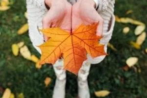 شعر پاییز