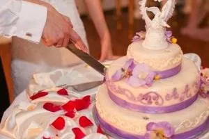 تغذیه عروس