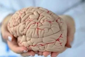 ارتباط پا با مغز