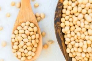 نگهداری سویا