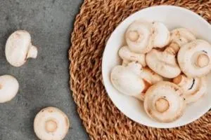 قارچ خوراکی