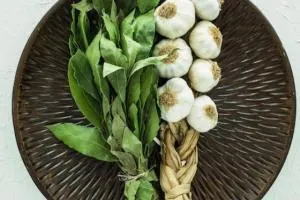 سبزی معطر شمالی