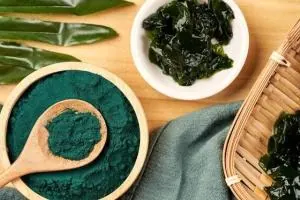 ماسک جلبک دریایی