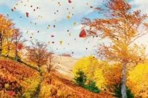 فواید پاییز
