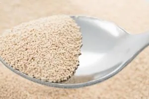 خمیر مایه