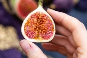 خواص انجیر برای پوست و مو