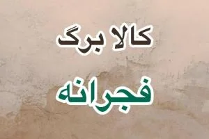 کالابرگ فجرانه