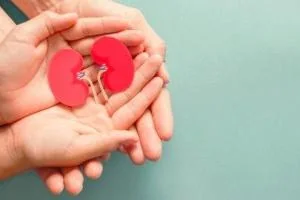پیوند کلیه