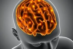 مغز نوجوانان سرکش