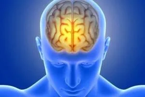 پیری مغز